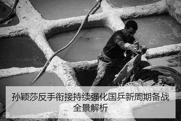孙颖莎反手衔接持续强化国乒新周期备战全景解析